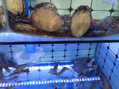 -日照大牌檔•小船海鲜(万平口店)