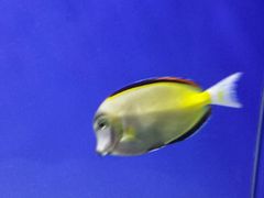 -洛阳龙门海洋馆