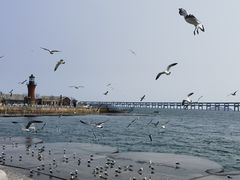 -星海广场
