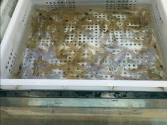 -妈妈菜舟山海鲜(定海古城店)