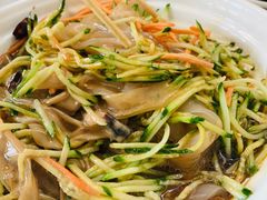 -食家鸽园