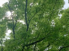 -东钱湖旅游度假区