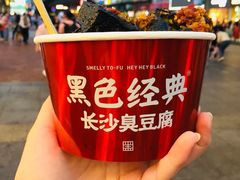 -黑色经典臭豆腐·湖南特产(潇湘文化店)