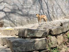 -狼山风景名胜区