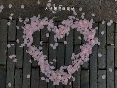 -鸡鸣寺