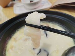 花胶鸡煲翅-喜上喜鸡煲翅(吉大店)