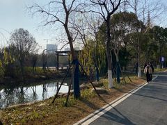 -洋湖国家湿地公园
