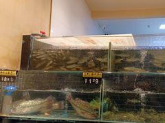 -衢农会·衢州菜·宴请(国际机场店)
