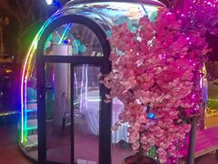 -十二月·宁夏盐池滩羊肉火锅