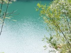 -广州市流溪河国家森林公园