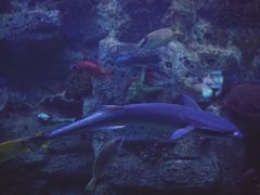 -左海海底世界