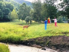 -塞罕坝国家级自然保护区