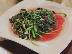 -新聚丰菜馆(太监弄店)
