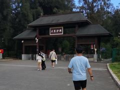 -大京沙滩
