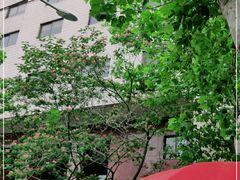 -九龙餐厅(大沽路店)