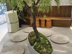 -君之狮子山·轻糖烘焙(松江印象城店)