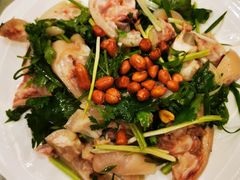 -张记旺角食街(动物园店)