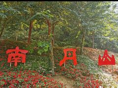 -南丹山森林王国