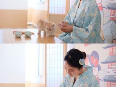 -喵八撸猫馆