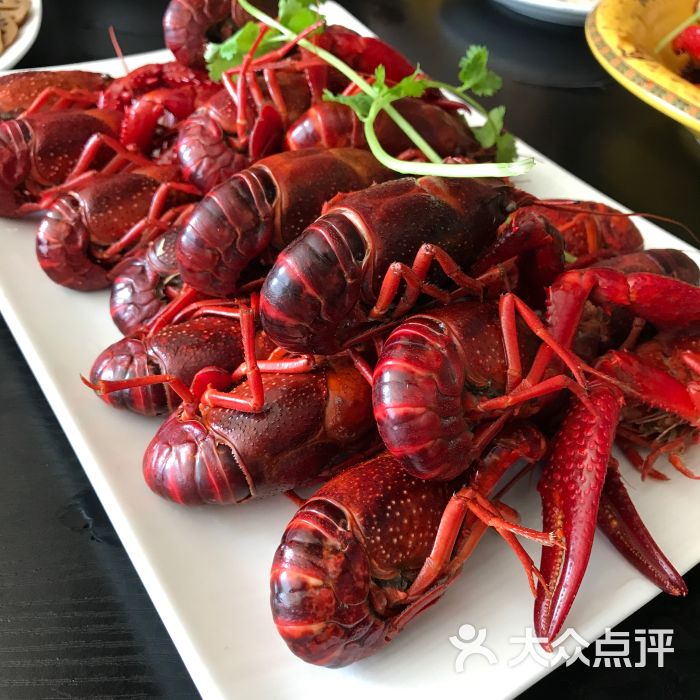 仙品龙虾-图片-石家庄美食-大众点评网