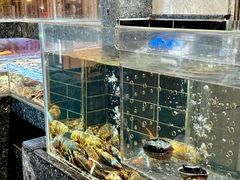 -许家菜(望江店)