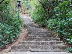 -野狸岛