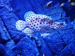 -成都浩海立方海洋公园