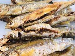 -庆岭迎宾园正宗活鱼馆