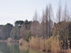 -苏州太湖国家湿地公园