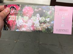 -南汇桃花村