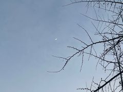-恩阳古镇