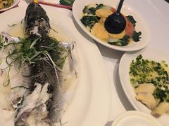 -稻香酒家·35年老字号(侨光店)