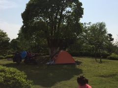 -八大山人梅湖景区