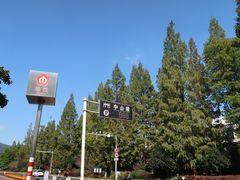 -紫金山山顶公园