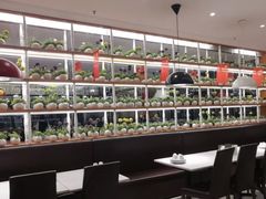 -老昌春饼(松北店)