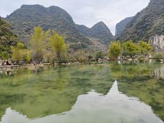 -靖西鹅泉风景区