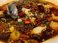 精品毛血旺-巴渝兄弟川菜(宽街店)