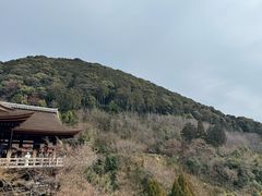 -有栖山 清光院 清水寺