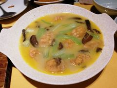 -素虎小呆鸟(西二旗店)