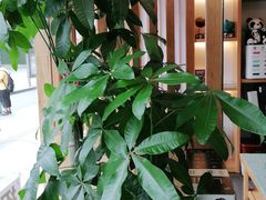 -宸玥酒店(成都西南财大地铁站店)