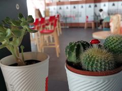 -肯德基(机场三店)