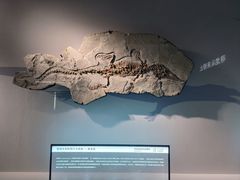 -厦门科技馆