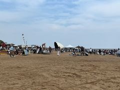 -碧海金沙