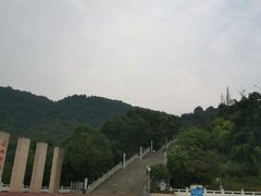 -铁山坪森林公园