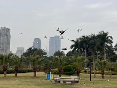-狐尾山公园