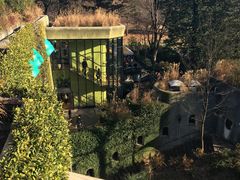 -三鹰之森吉卜力美术馆