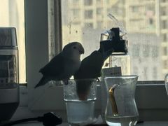 -宝岛眼镜(嘉兴桐乡时代广场店)