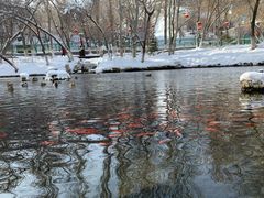 -水磨沟公园