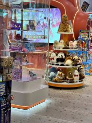 -kidsland(颐堤港店)