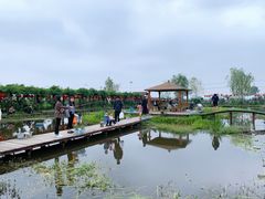 -同銮特种养殖场·龙虾垂钓